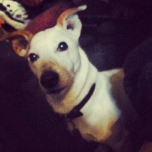 Meet your Posher, Jacob